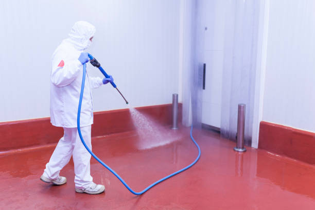 Hamshire, TX Pressure Washing Pros