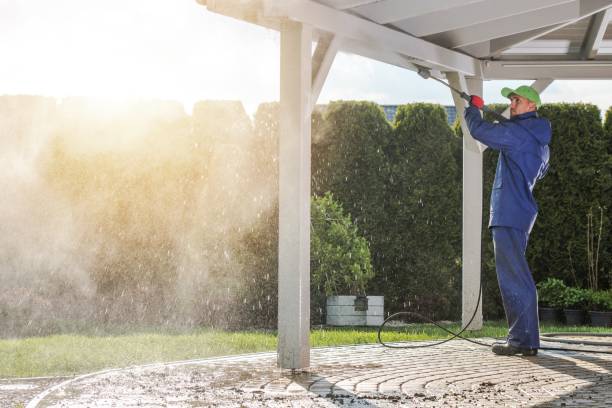 Best Pool Deck Cleaning  in Hamshire, TX