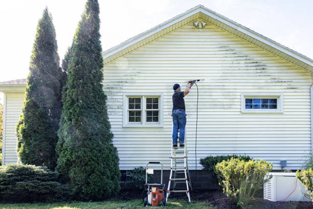 Best Solar Panel Cleaning  in Hamshire, TX